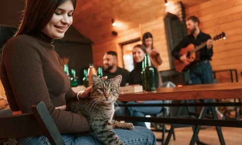 Хостелы для тех, кто в дороге с ноутбуком: где удобно работать, есть и не сойти с ума